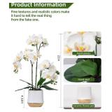 New Artificial Orchid Flowers Set White Fake Phalaenopsis Flower Faux Butterfly Orchid Real Touch Orchid White $46.00 Retail *B