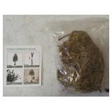 Decorative Artificial Olive Tree - 5 FT * New (View Photos)