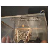 Shadow Box Butterflies