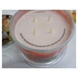 Canvas Picture, Snowman Bird Feeder...