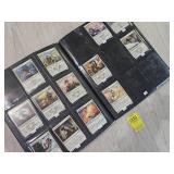 MAGIC THE GATHERING CARD BINDER