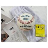 ONYX AUTHENTICATED BASEBALL VICTOR ROBLES