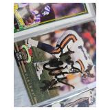 FIVE SIGNED FOOTBALL CARDS