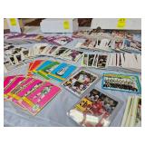 FOR THE DIE HARD HOCKEY FAN....