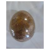 Orthoceras Fossil and Petrified Wood