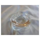 Orthoceras Fossil and Petrified Wood