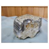 Orthoceras Fossil and Petrified Wood