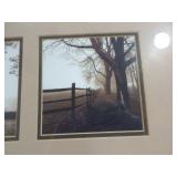 3 Framed Prints