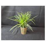 Assorted Decorative Artificial Plants and Vases Set