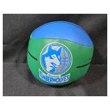 Set of 5 Collegiate and Team Logo Basketballs