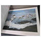 5 Wildlife of North America Books...