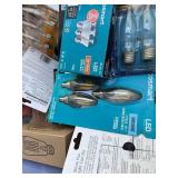 Collection of Various Light Bulbs with Plastic Tub