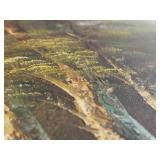 Original Oil Painting Landscape by Artist J. Hall