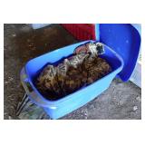 Bin of Hunting Clothing