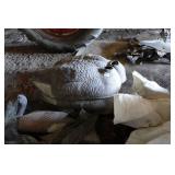 Goose Decoys