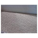 (HG) Petstrand Carpet Remnant 12 Ft...