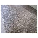 (HG) Posh Carpet Remnant 12 Ft x 6 ...