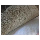 (HG) Carpet Remnant 12 Ft x 8 Ft 3 ...