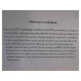 (A-4) Wendi Luhmann Horse Print "Wi...