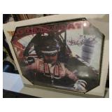 Earnhardt Poster, Racing Light