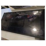 Earnhardt Poster, Racing Light