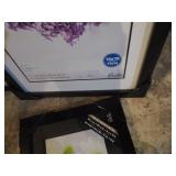 Bill of Rights Poster, Frames