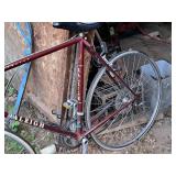 Raleigh Olympian 24" Men