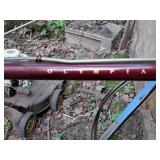 Raleigh Olympian 24" Men