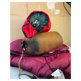 Coleman Sleeping Bag