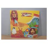 The Beach Boys "Endless Summer" Vinyl Record