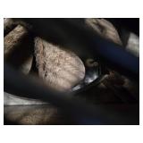 Used AirCare Evaporative Humidifier