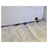 Coleman Green Camping Cooler