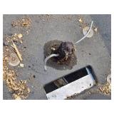 Agri-Fab Broadcast Spreader with Adjustable Handle