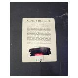 Nickel Finish Curtain Rods with Hardware, Sepia Still Life Art, and Wire Shelves