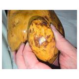 Vintage Atlantic Mold Ceramic Potato-Shaped Dishes