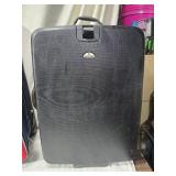 Bags and Luggage: Samsonite, Modena, and Backpack