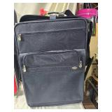 Bags and Luggage: Samsonite, Modena, and Backpack