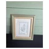 Set of 2 Framed Art Pieces with Botanical and Nature Themes