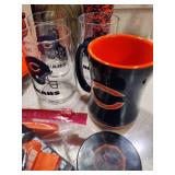 Chicago Bears Fan Lot