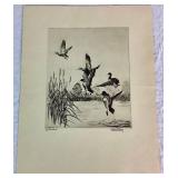 "Lake Erie Mallards" Talio-Crome Print by Richard E Bishop