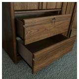 Vintage Oak Media Cabinet