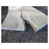 21 x 83" 2 1/2" thick live edge elm...