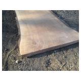 20 x 146" 2 1/2" thick live edge bl...