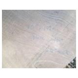 20 x 146" 2 1/2" thick live edge bl...