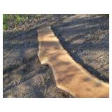 15 x 103" 2 1/2" thick live edge bl...