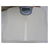 Taylor Lithium Scale...