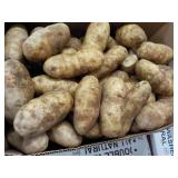 50 lb. box Kitchen Kleen Russet Pot...