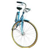Vintage Blue Schwinn Suburban Bike