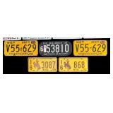 Grouping of Vintage License Plates