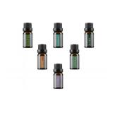 NEW Wasserstein Aromatherapy Oils - 100% Pure Essential Oils Gift Set (Peppermint, Tea Tree, Lemongrass, Lavender, Orange, Eucalyptus) (6 Pack, 10ml)